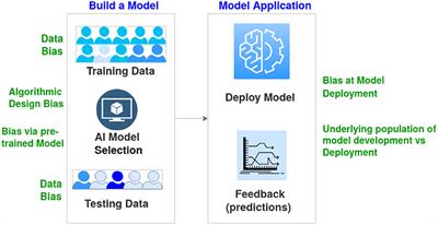 Data and model bias in artificial intelligence for healthcare applications in New Zealand